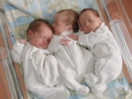 Запорожанка родила тройню: детям срочно нужна помощь (ФОТО/ВИДЕО)