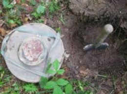Житель Днепропетровщины нашел противотанковую мину