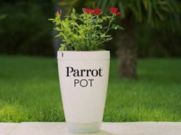 Умный горшок Parrot Pot: выращивает растения сам