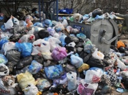 Украинцев будут штрафовать за неотсортированный мусор