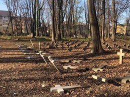 В Коломые повалили кресты на польском кладбище