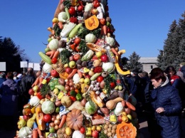 В Одесской области соревнуются борщевары и "вырастили" самое большое борщевое дерево Украины