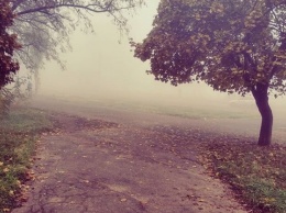 Подсмотрено в Instagram: фотографии туманного Запорожья