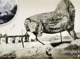 В Запорожье историки показали удивительный кадр с "многострадальным львом"