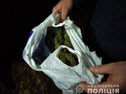 На Полтавщине задержали парня с килограммом конопли (фото)