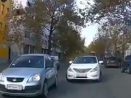 Водитель остановился на светофоре на встречной полосе (видео)