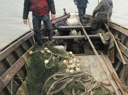 Правоохранители отняли у браконьеров 4 тонны карасей и карпов в Одесской области
