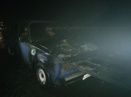 На трассе под Вознесенском спасатели тушили пожар автомобиля