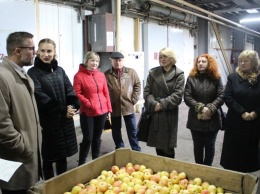В Баштанском районе Николаевщины представлен проект "Школьное яблоко"