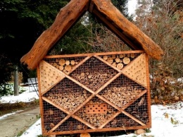 Полтавчане построили "пятизвездочный отель" для насекомых (фото)