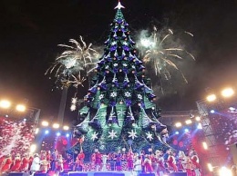 В киевской мэрии определили высоту главной новогодней елки