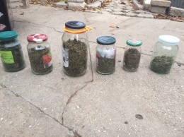 Необычные консервы: 19-летняя крымчанка заготовила марихуану в банках