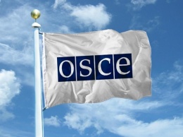 ОБСЕ призывает Украину и Россию к сдержанности