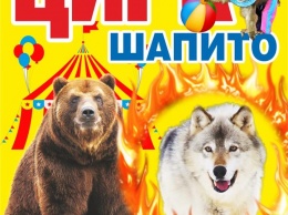 В Керчь приедет цирк из Краснодарского края