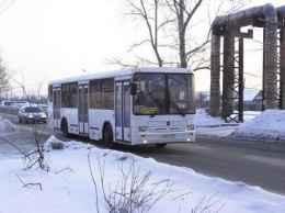 «Пассажирам бы он, наверное, понравился»: на новый маршрут Воронежа не вышел ни один автобус
