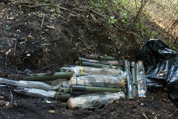 В лесополосе между Северодонецком и Лисичанском нашли тайник с оружием