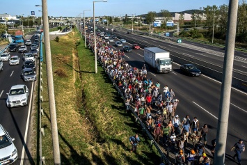 История развития миграционного кризиса в Европе