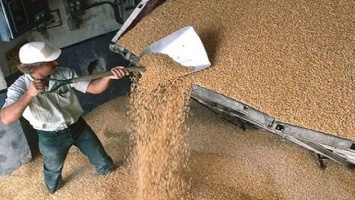 Аграрный фонд накопил необходимое количество зерна
