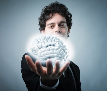 Ученые: Создан мини-мозг для опытов с помощью 3D-печати