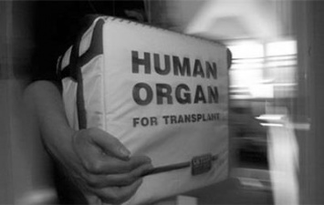 В Украине разоблачили группу "черных" трансплантологов