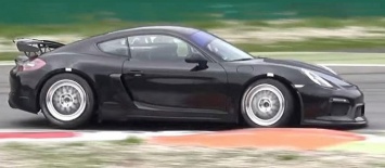 Porsche приспособит Cayman для гонок