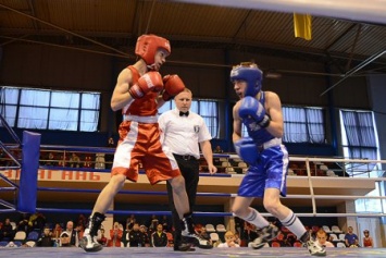 Ужгород принимает масштабный чемпионат Закарпатья по боксу среди юношей
