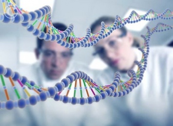 В США ученые смогли отключить гены старения у дрожжей