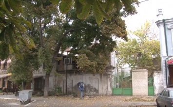 В Николаеве на одном избирательном участке обнаружили 200 «мертвых душ». «БПП «Солидарность» призывает партии объединиться против фальсификации