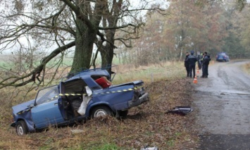 В Черниговской обл. легковушка врезалась в дерево, погибли три человека