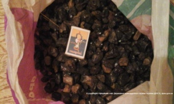 В Житомирский обл. у добытчиков янтаря изъяли более 4,5 кг камня, - ГПСУ