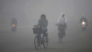 Сильный смог в Индонезии привел к смерти 19 человек