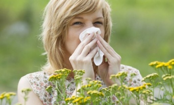 Раскрыта тайна происхождения аллергии