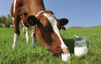 Украинское молоко поедет в Европу