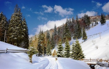 Зимний отдых туристы проведут в Карпатах