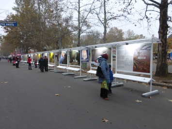 В Николаеве открылась уникальная фотовыставка "Лесные истории"