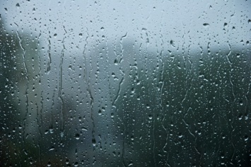 Киевлян предупреждают об усилении дождя к концу дня