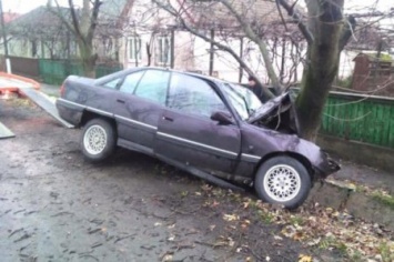 Смертельное ДТП на Закарпатье: водитель заснул за рулем и врезался в дерево (ФОТО)