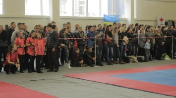 В Кривом Роге прошел масштабный турнир по киокушин-карате (фото)