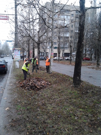 К уборке листьев с улиц Николаева привлекаются общественные работники из центра занятости