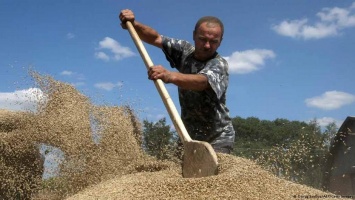 Украина пообещала обеспечить Турцию продовольствием вместо России