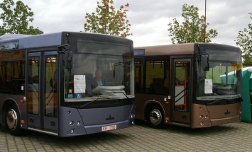 Автобусы МАЗ добрались до Петербурга, чтобы возить пассажиров в Колпино