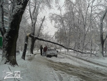 В Харькове выпало аномальное количество снега