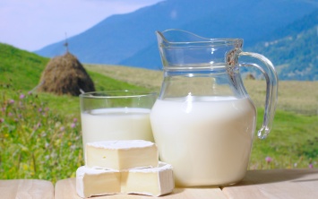3 полезных факта о молоке