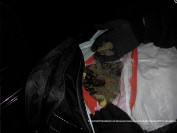 В Одесской области пограничники обнаружили в микроавтобусе около 21 кг необработанного янтаря