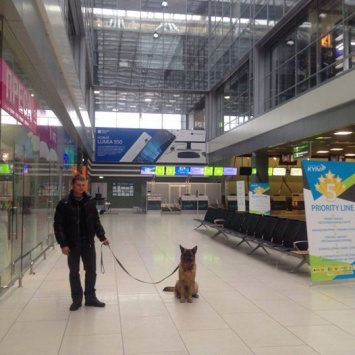 В Киеве заминировали аэропорт в Жулянах
