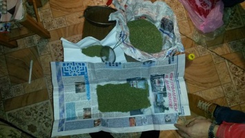 Полиция нашла дома у николаевца амфитамин и каннабис стоимостью более 35 тыс. гривен