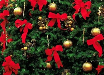 Как нарядить новогоднюю елку: советы и рекомендации (Фото)