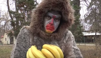 Директор Одесского зоопарка снял новогодний клип и переоделся в обезьяну