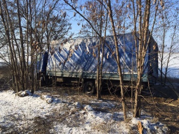 На участке автодороги "Новая Одесса-Еланец" грузовик слетел в лесопасадку