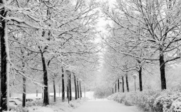 ГосЧС: Новые снегопады ожидают Украину с 10 января
